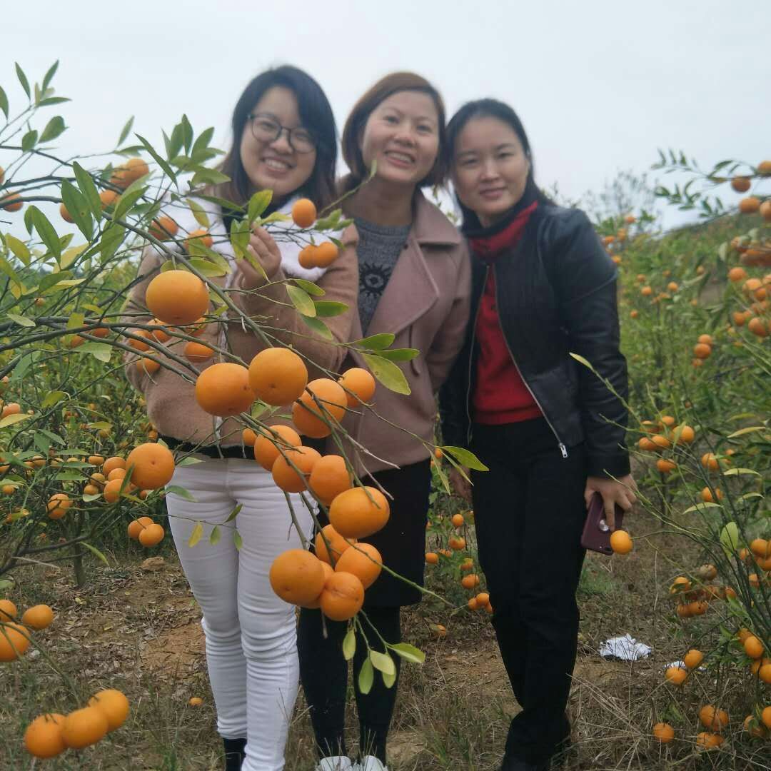 2018年世世通户外活动 2018年世世通户外活动